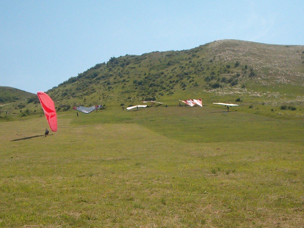 Photograph