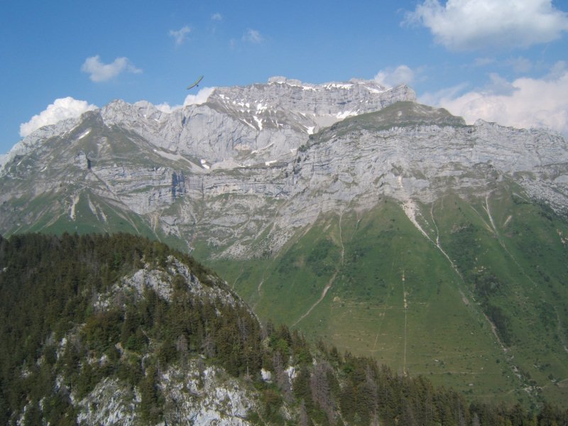 photo52.jpg