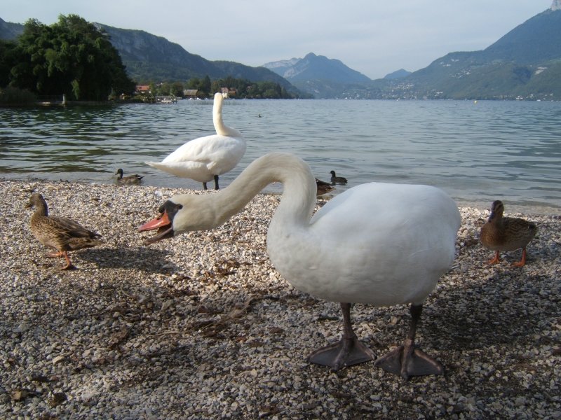 dscf1241.jpg