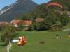 dscf1337_small.jpg