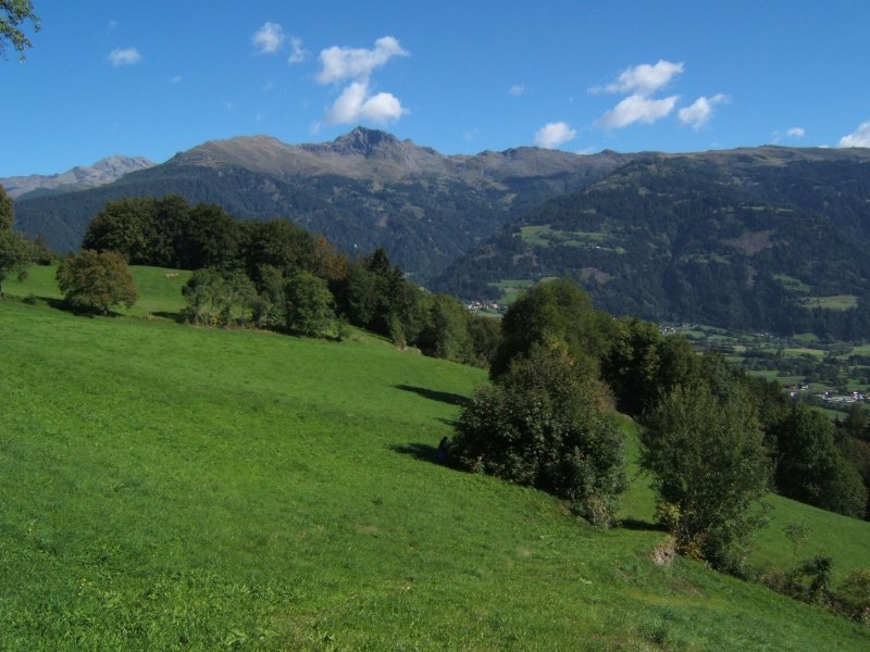 dscf0831.jpg