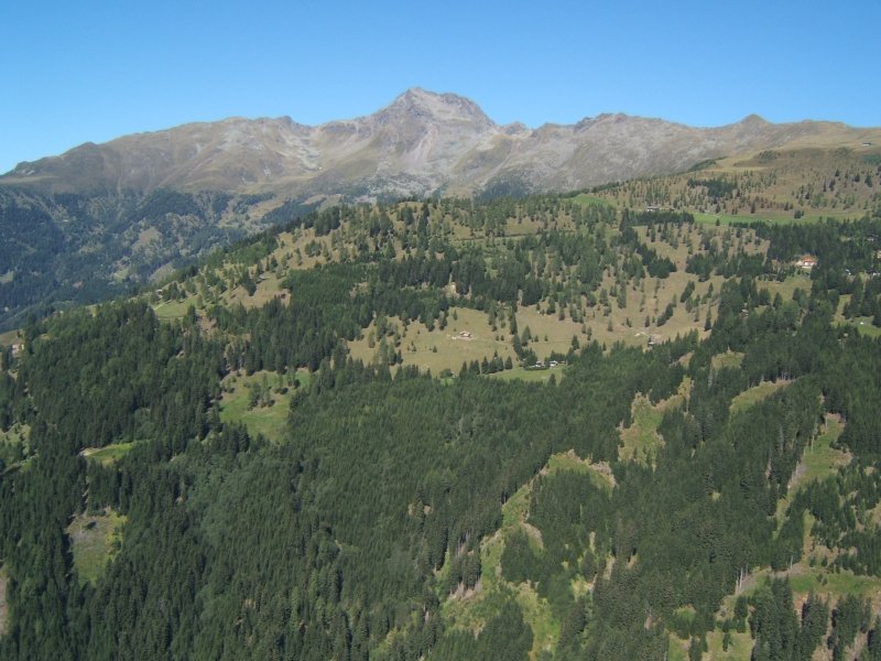 dscf0876.jpg