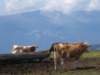 dscf0925_small.jpg