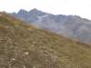 dscf1027_small.jpg